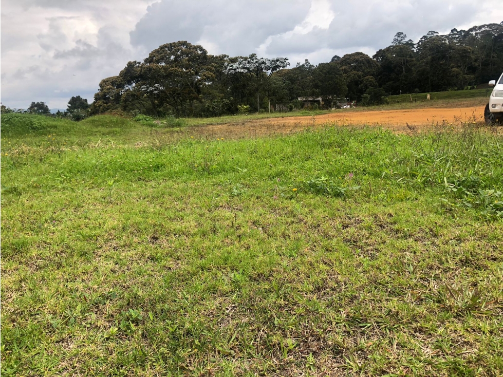 HERMOSO LOTE EN VENTA CON EXCELENTE UBICACIÓN Y VECINDARIO CARMEN VIB. — foto 3