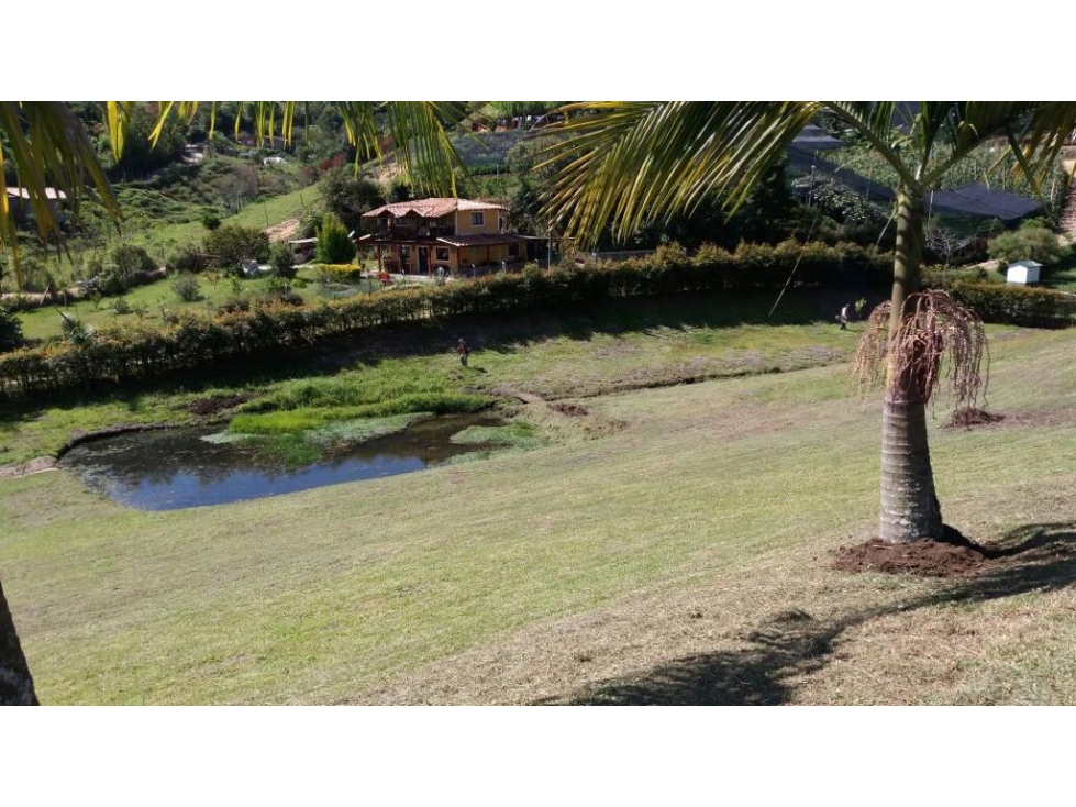 ENCANTADOR LOTE EN VENTA EL CÁRMEN DE VIBORAL — foto 3