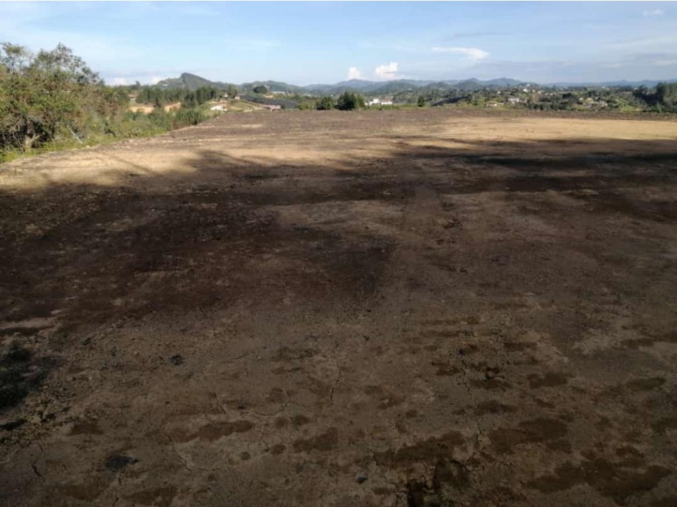 ENCANTADORES DOS LOTES EN VENTA CERCA AUTOPISTA MEDELLÍN/BOGOTÁ — foto 5
