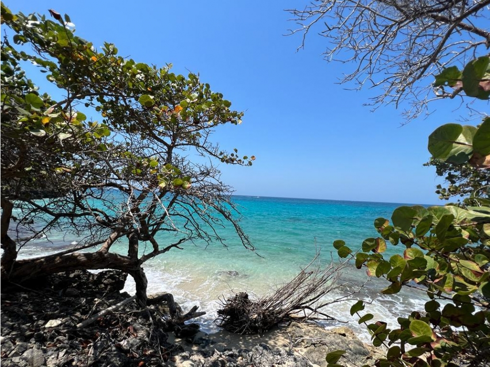 ESPECTACULAR LOTE DE PLAYA EN VENTA ISLA BARU CARTAGENA — foto 6