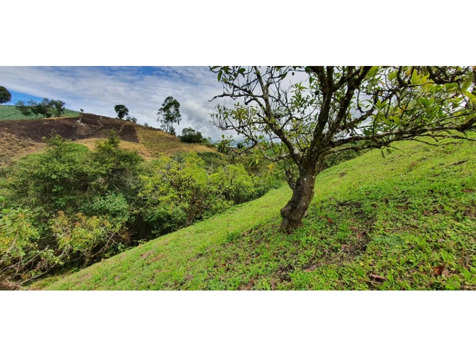 LINDO LOTE EN VENTA MARINILLA - 4