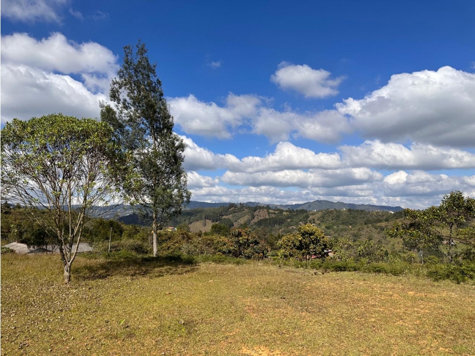 ENCANTADOR LOTE EN CON LINDA VISTA EN VENTA GUARNE - 3