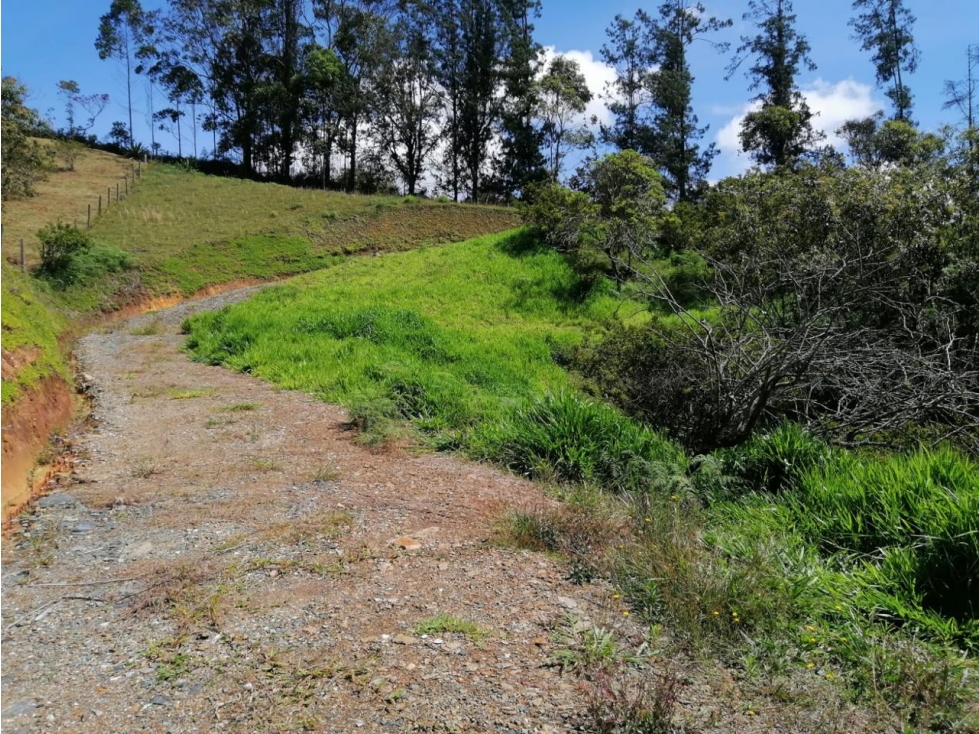 ENCANTADOR LOTE EN VENTA SAN VICENTE