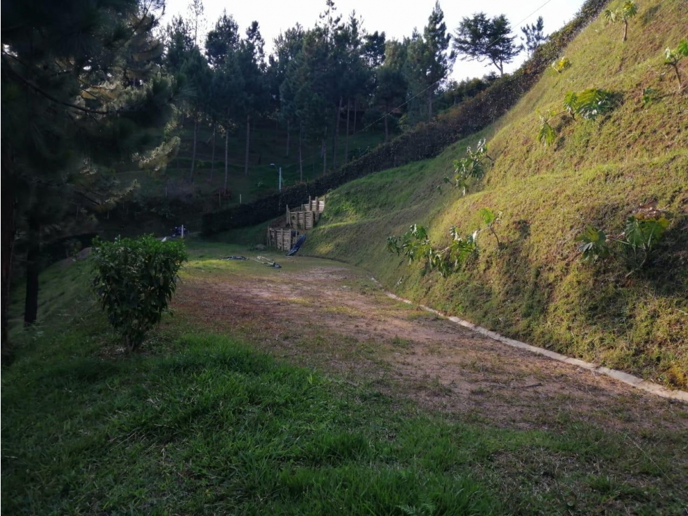 ENCANTADOR LOTE EN VENTA SAN VICENTE — foto 6