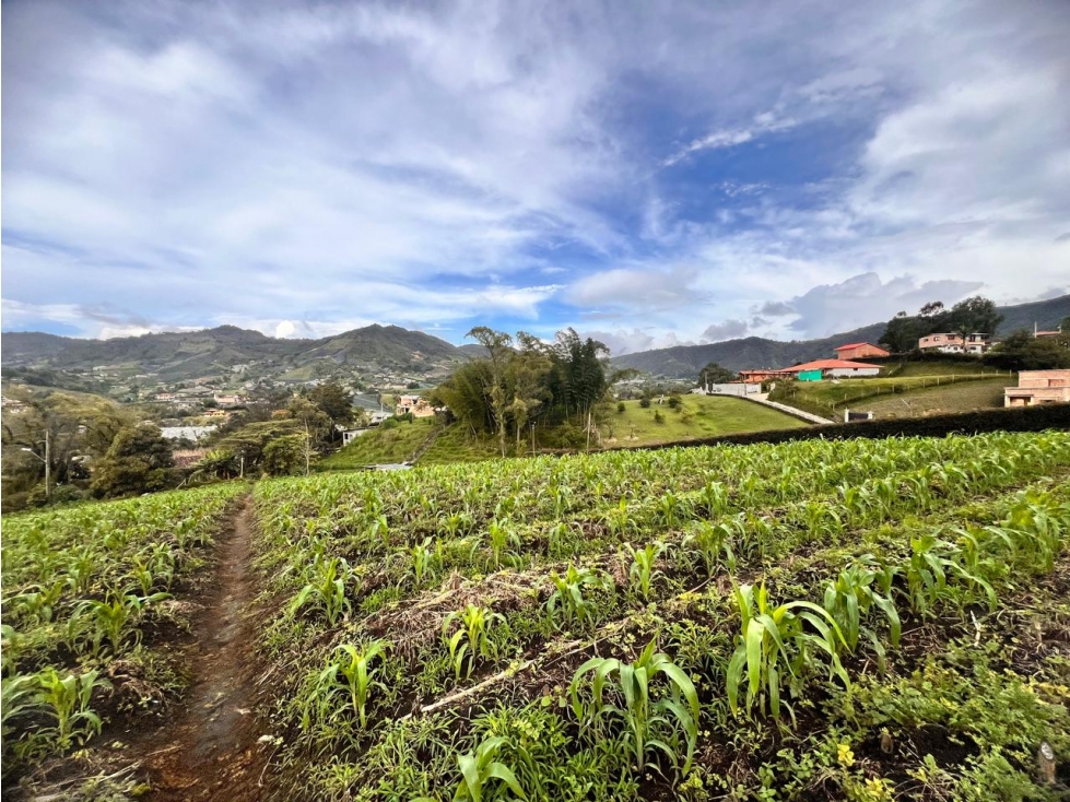 ESPECTACULAR LOTE SEMIURBANO EN VENTA EL CARMEN DE VIBORAL — foto 3