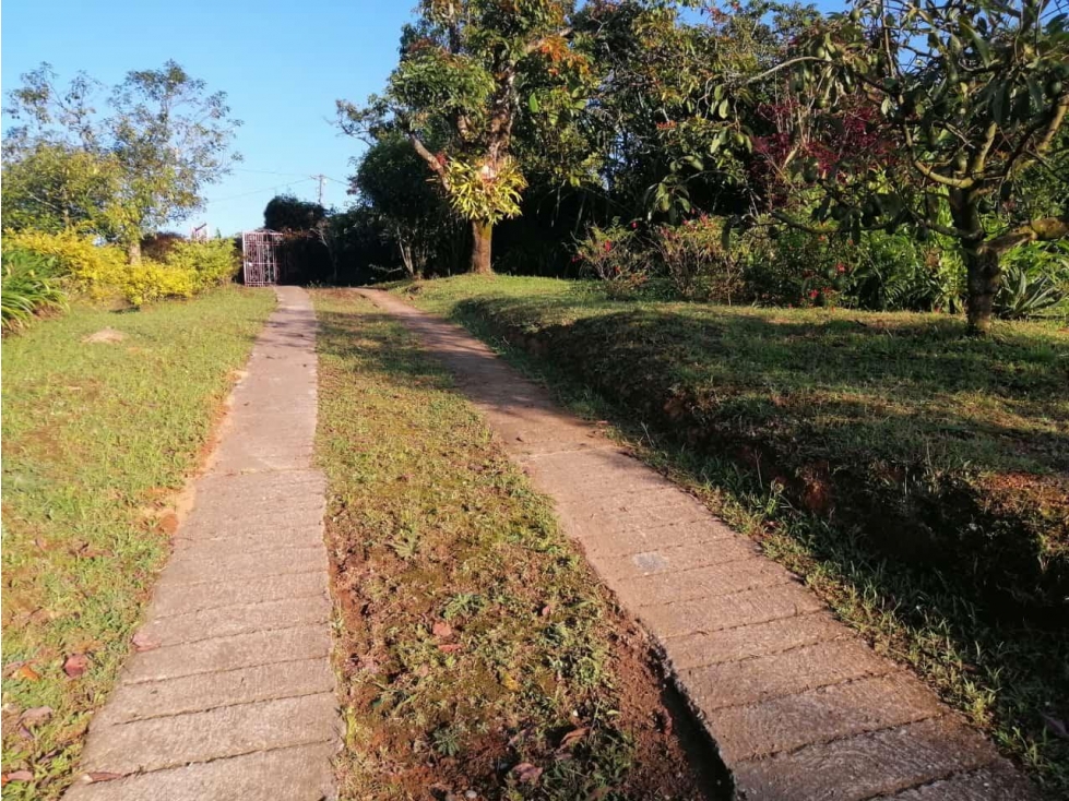 HERMOSA FINCA EN VENTA MARINILLA — foto 3