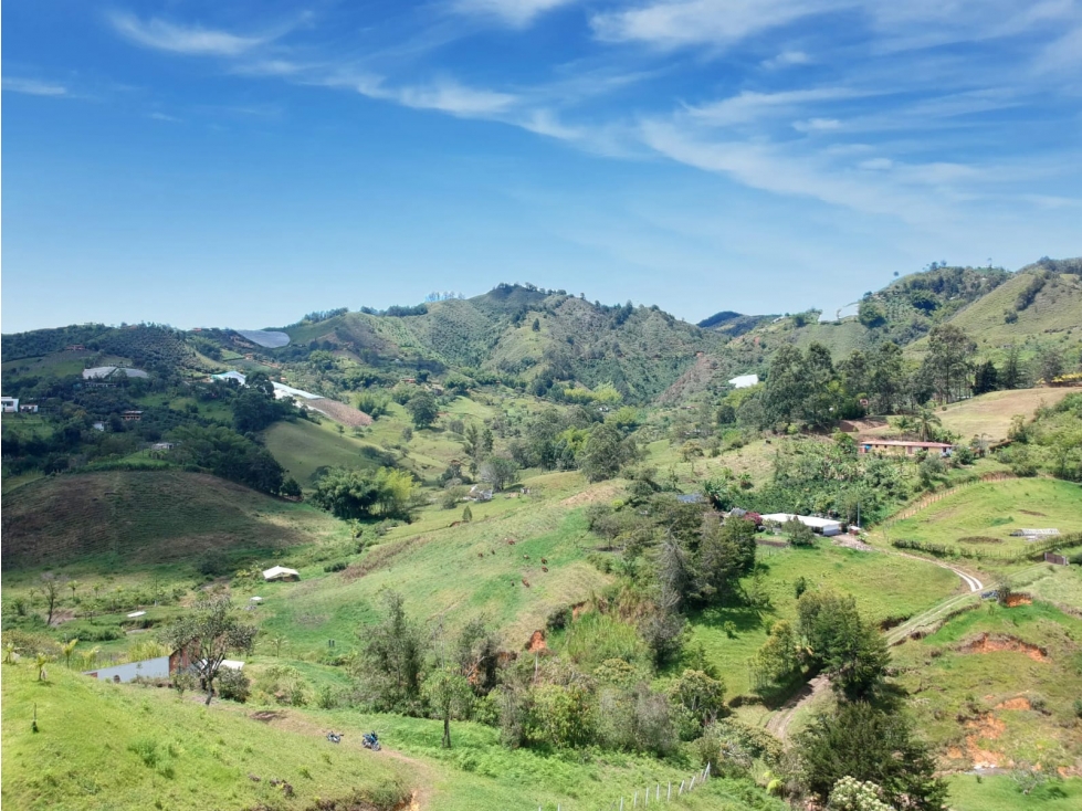 HERMOSO LOTE EN VENTA EN LA VEREDA POZO DE MARINILLA - 3