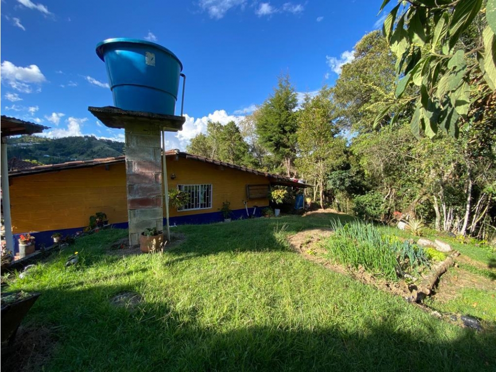 ENCANTADORA FINCA EN VENTA GUARNE — foto 2