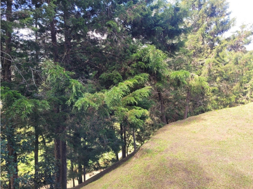 ESPECTACULAR LOTE EN VENTA GUARNE — foto 3