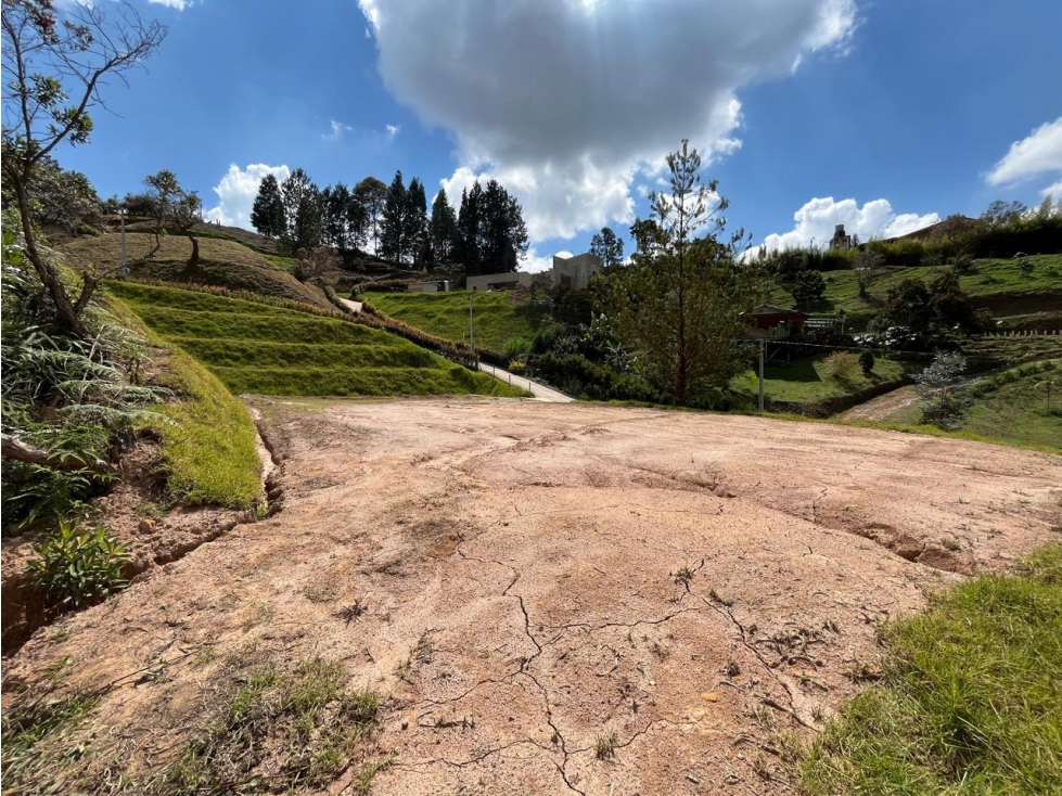 ENCANTADORES LOTES EN VENTA GUARNE CON LICENCIA — foto 3