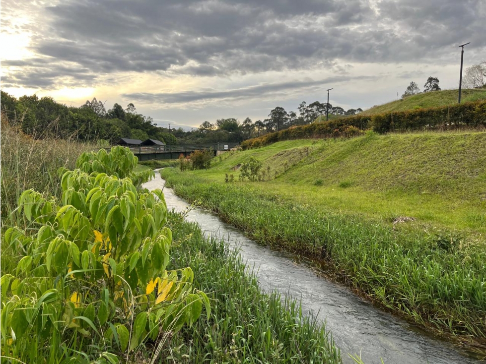 ENCANTADOR LOTE EN VENTA SAN ANTONIO DE PEREIRA — foto 2