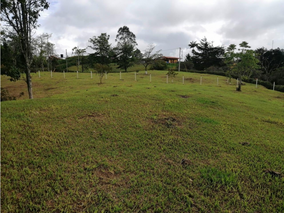 ENCANTADOR LOTE EN VENTA SAN VICENTE — foto 3