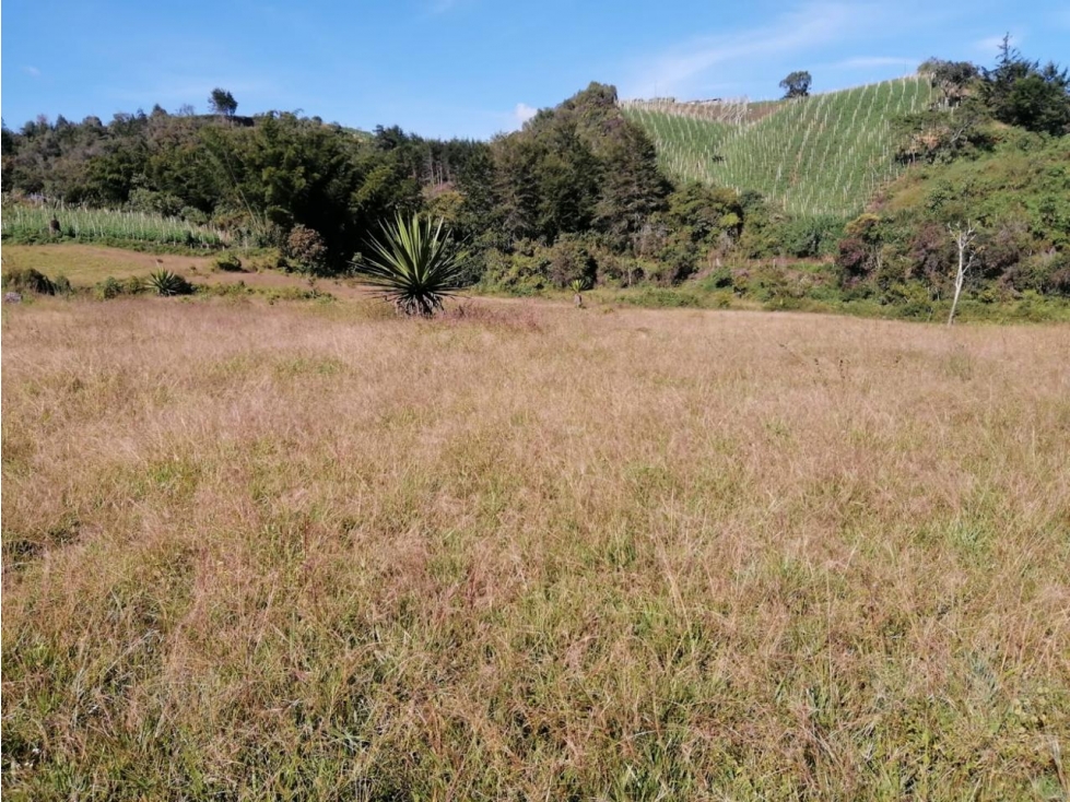 ENCANTADOR LOTE EN VENTA PARA PROYECTO SAN VICENTE — foto 3