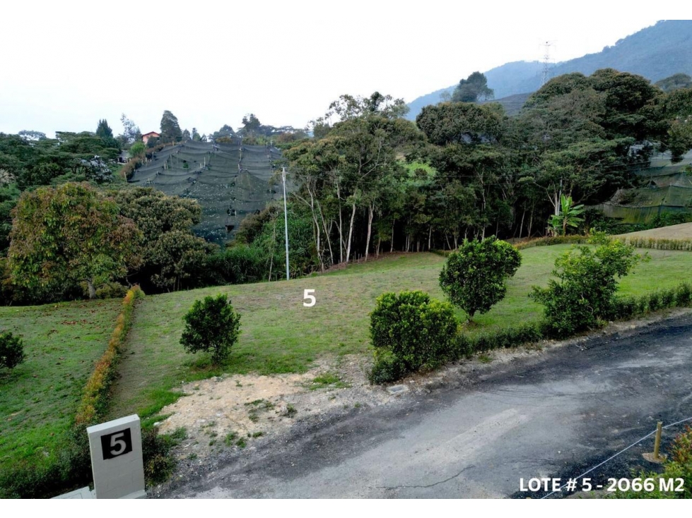 ENCANTADOR LOTE EN VENTA SECTOR CANADA EL CARMEN DE VIBORAL — foto 3