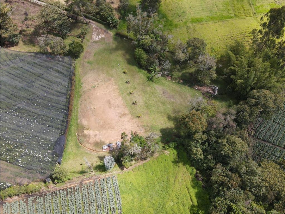 ENCANTADOR LOTE EN VENTA EL CARMEN DE VIBORAL SECTOR CANADA — foto 6