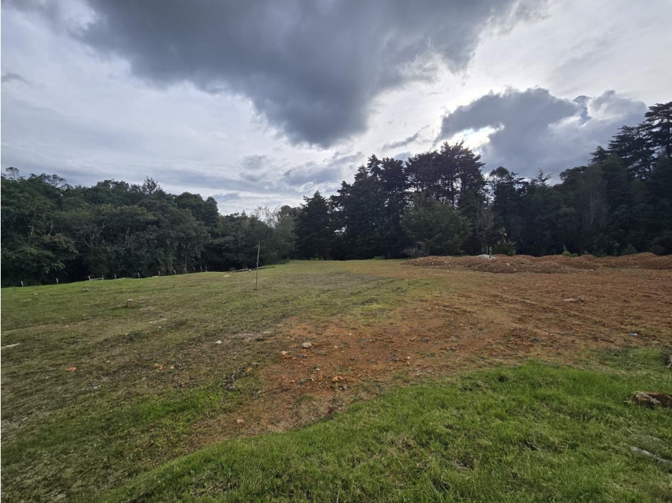 ENCANTADOR LOTE ALTO DE PALMAS EN VENTA — foto 3