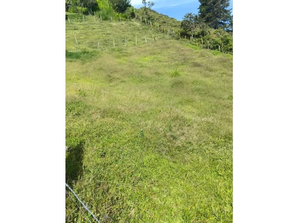 LINDA CASA FINCA EN VENTA MARINILLA ANTIOQUIA — foto 3