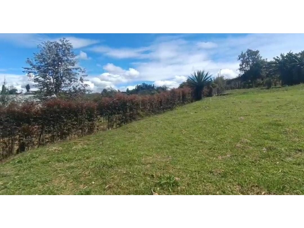 LINDA CASA FINCA TRADICIONAL EN VENTA RIONEGRO ANTIOQUIA — foto 3
