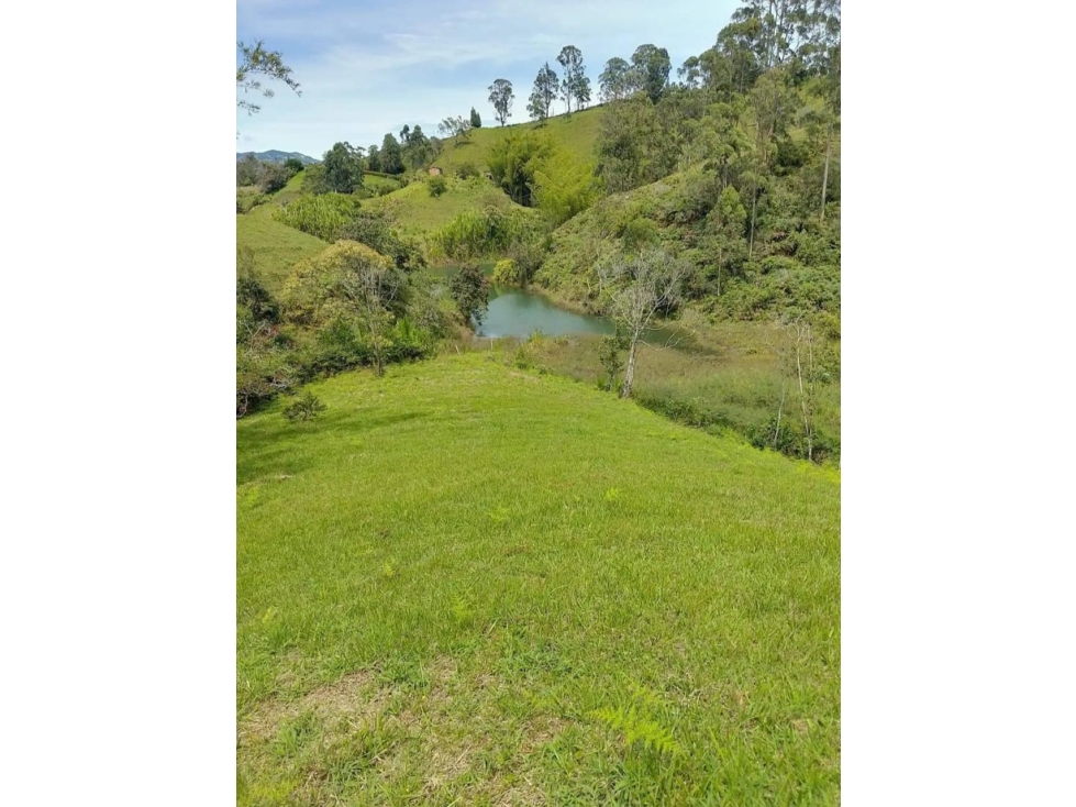 ENCANTADOR LOTE EN VENTA CON EMBALSE EN EL PEÑOL — foto 3