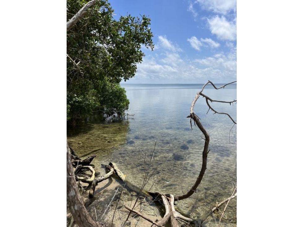 LINDO LOTE DE PLAYA EN VENTA ISLA BARU CARTAGENA — foto 3