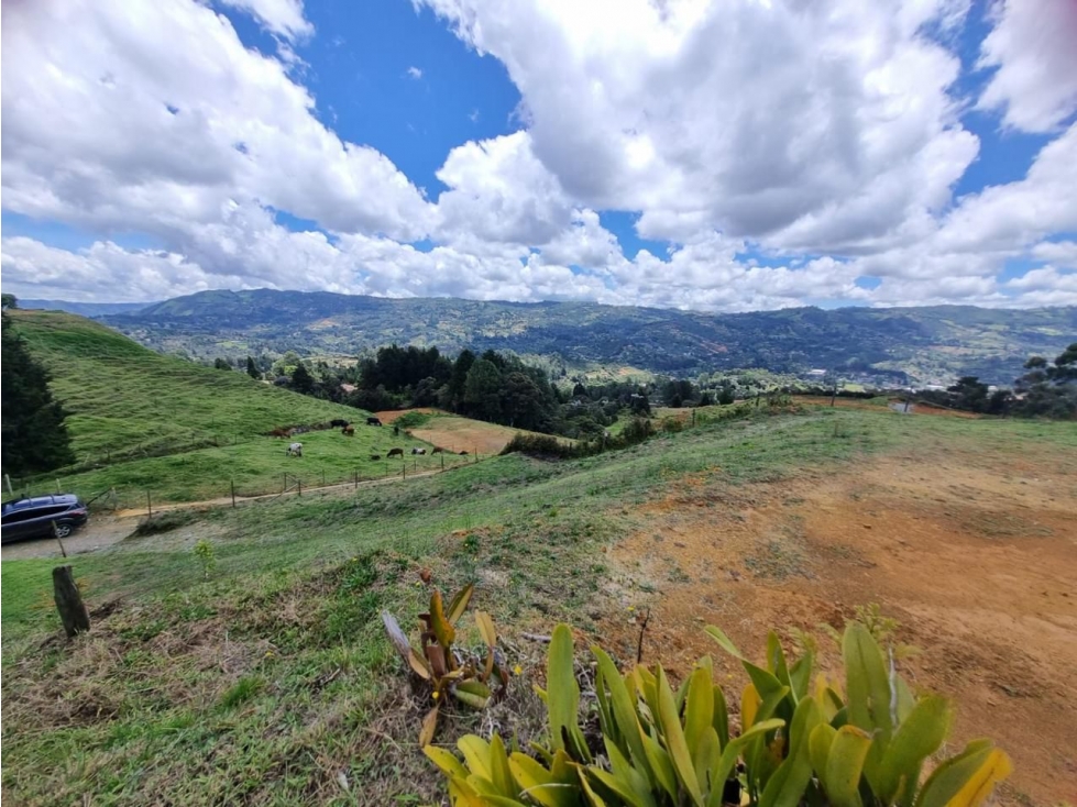 ENCANTADOR LOTE CON VISTA EN VENTA GUARNE — foto 2