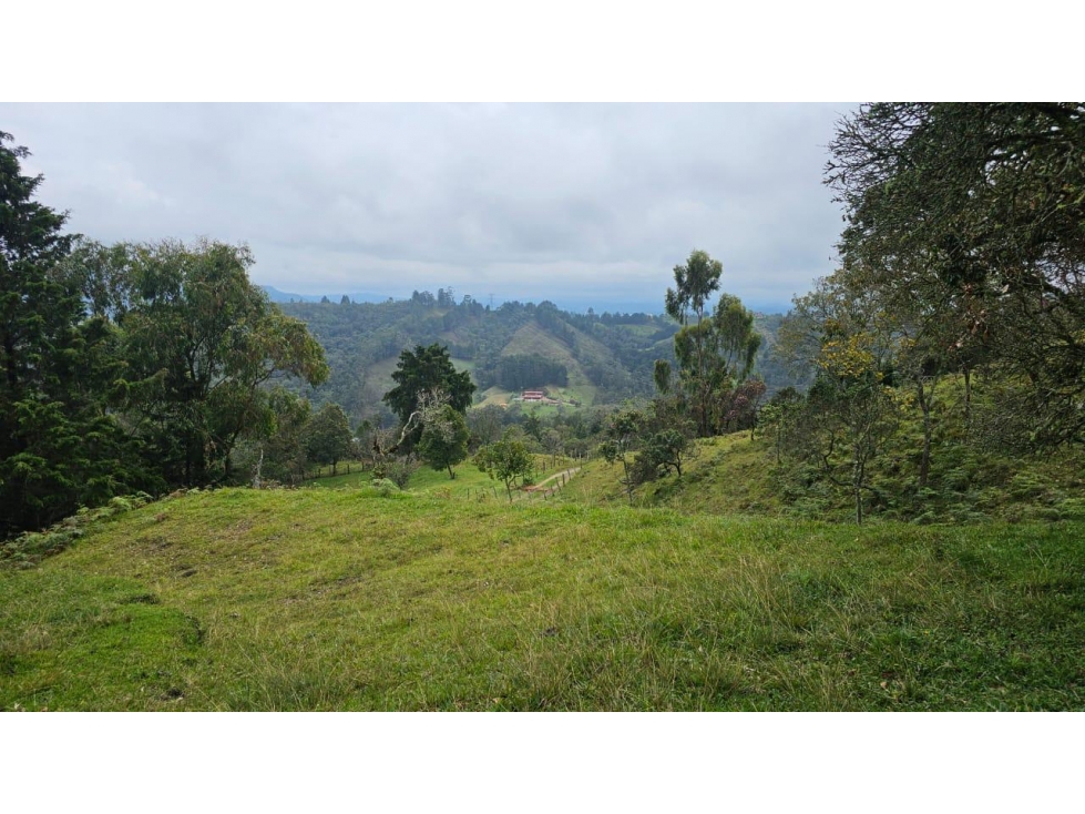 ENCANTADOR LOTE EN VENTA GUARNE PARA PROYECTO AGROPECUARIO — foto 3