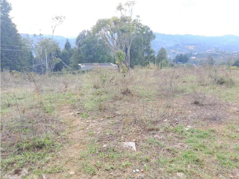HERMOSO LOTE EN VENTA GUARNE — foto 3