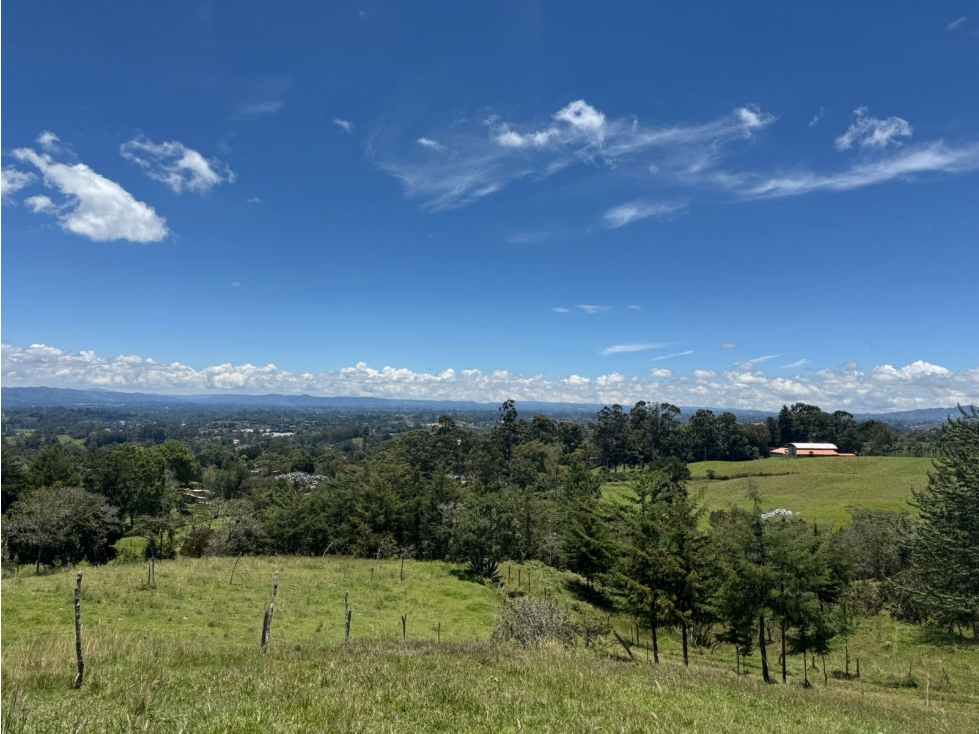 HERMOSA TIERRA EN VENTA EN EL CARMEN DE VIBORAL — foto 3