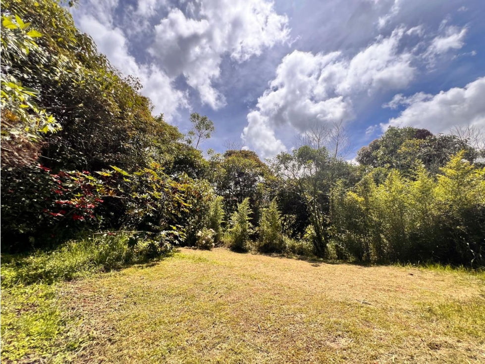 ESPECTACULAR LOTE EN EL CARMEN DE VIBORAL SECTOR LA CHAPA — foto 3