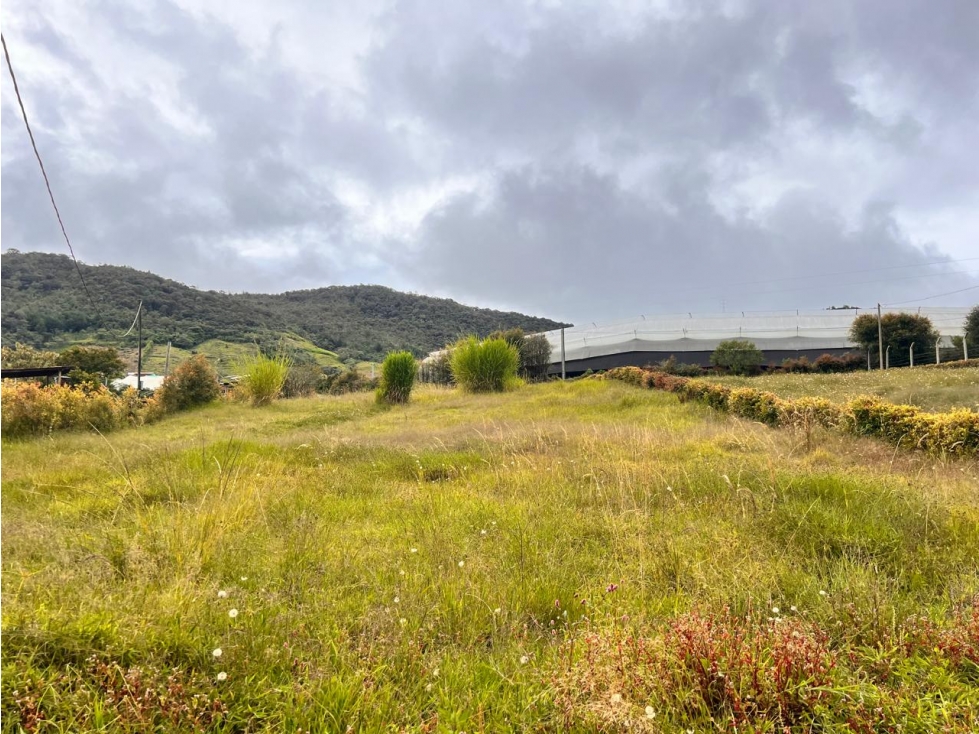 HERMOSOS LOTES EN VENTA EL CARMEN DE VIBORAL SECTOR LA CHAPA — foto 2