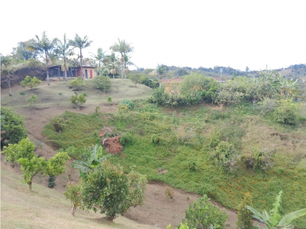 ESPECTACULAR FINCA EN VENTA PARA PROYECTO DE PARCELACIÓN SAN VICENTE — foto 4