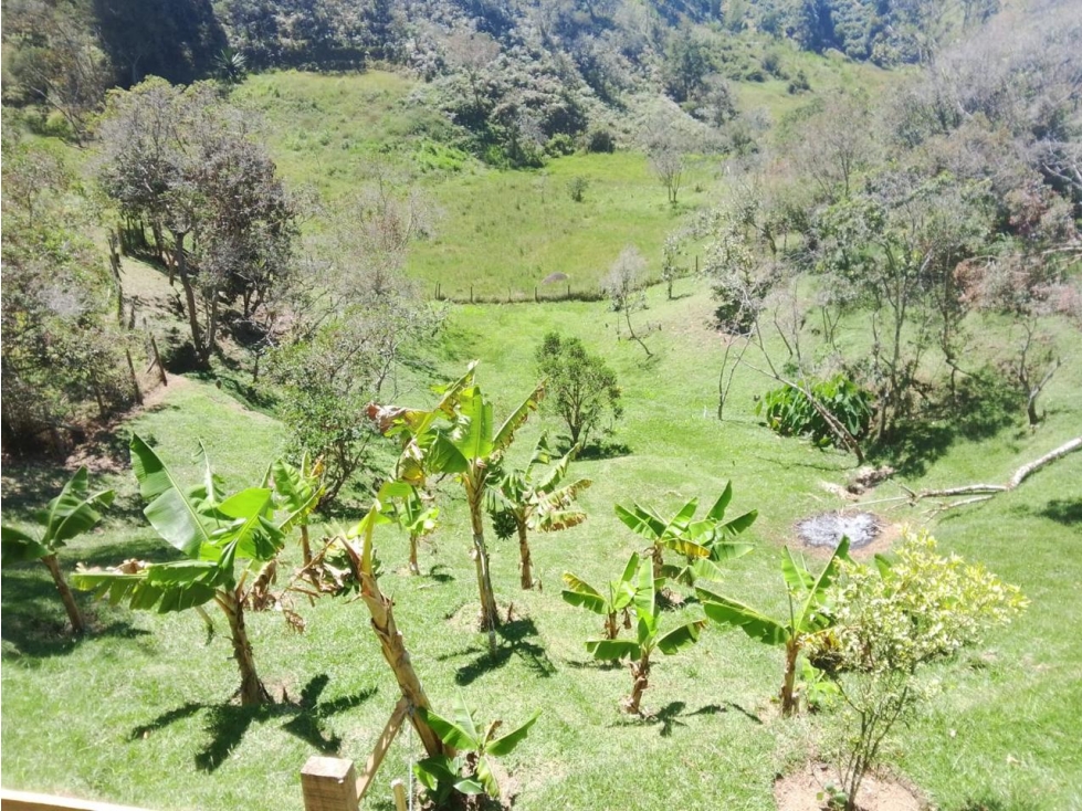 EN VENTA ESPECTACULAR FINCA EN SAN VICENTE CERCA A LA AUTOPISTA — foto 6