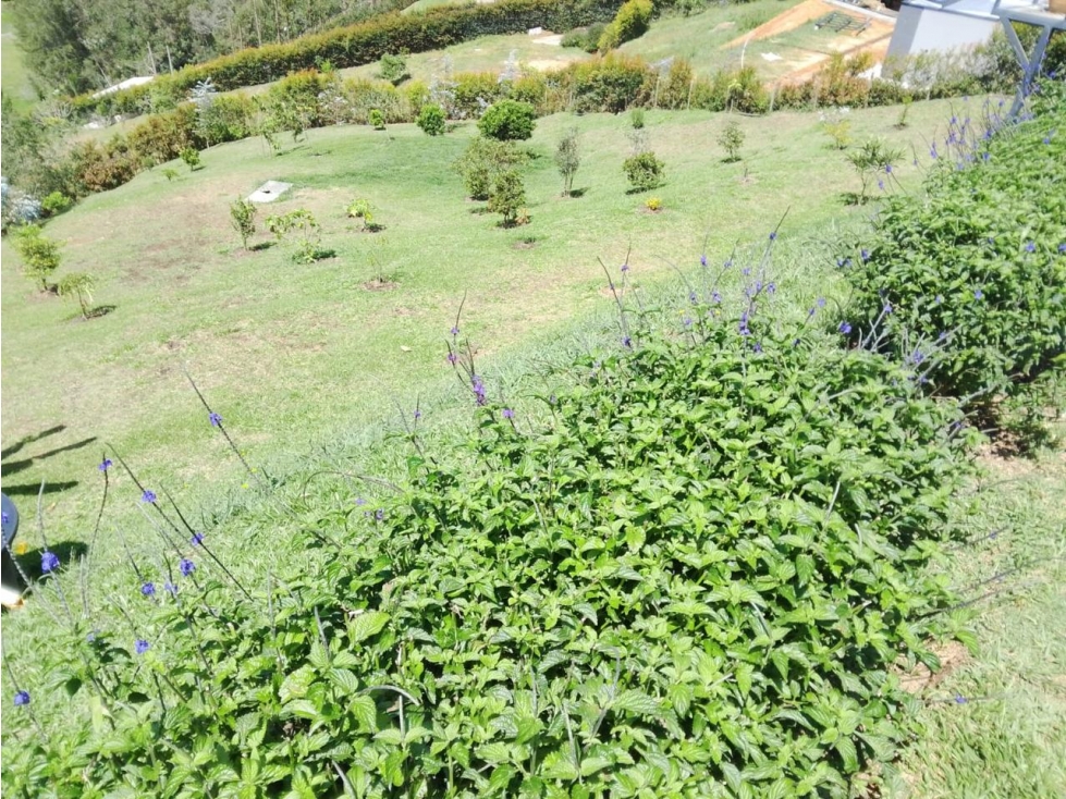 ESPECTACULAR FINCA EN VENTA SAN VICENTE CERCA A LA AUTOPISTA — foto 3
