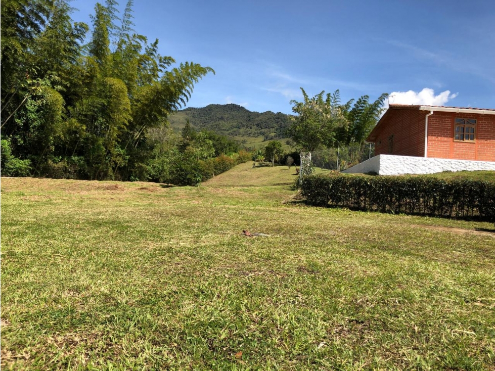 ENCANTADORA FINCA EN VENTA EL PEÑOL TOPOGRAFIA PLANA - 5
