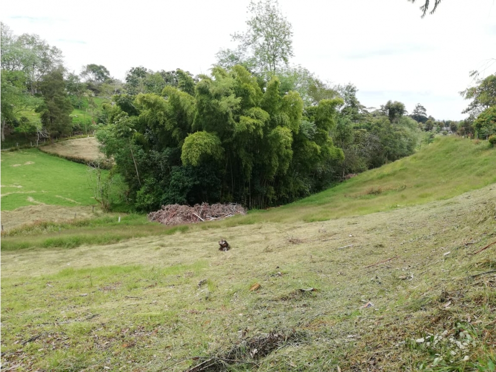LINDOS LOTES EN VENTA SOBRE VIA EN EL CARMEN DE VIBORAL ANT. — foto 4