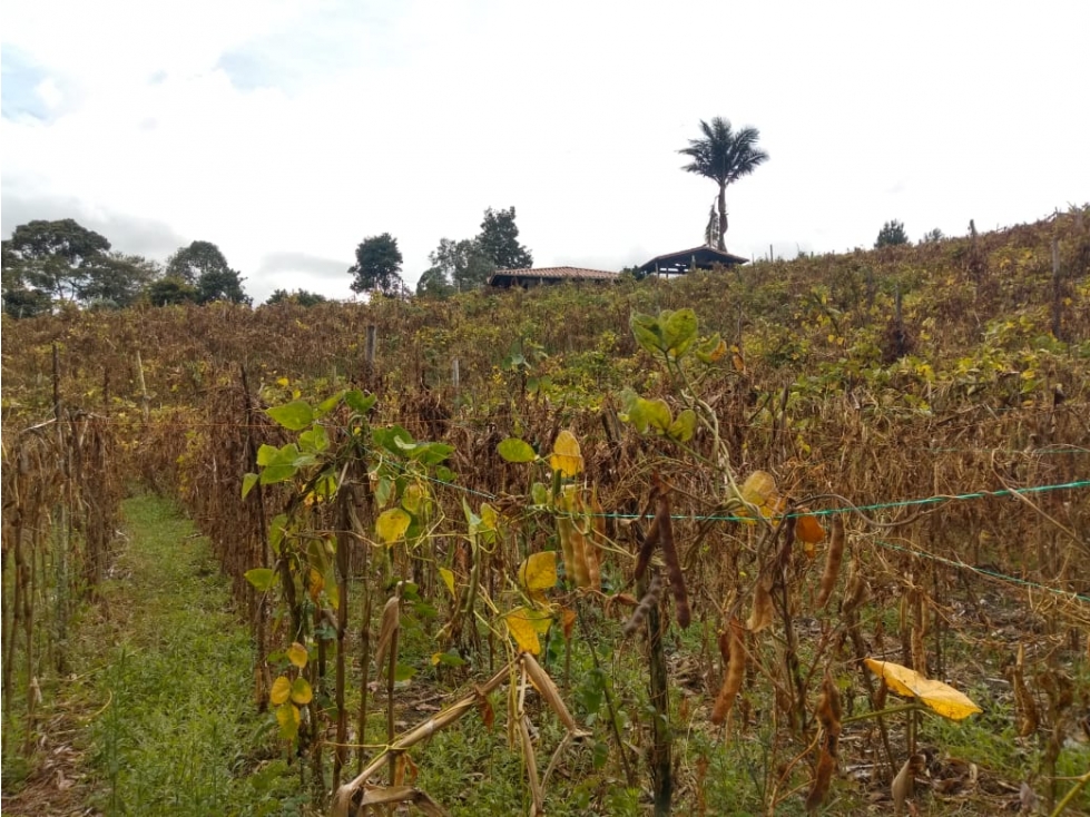 LOTE DE OPORTUNIDAD VEREDA AGUAS CLARAS EN VENTA EN EL CARMEN DE VIB. — foto 2