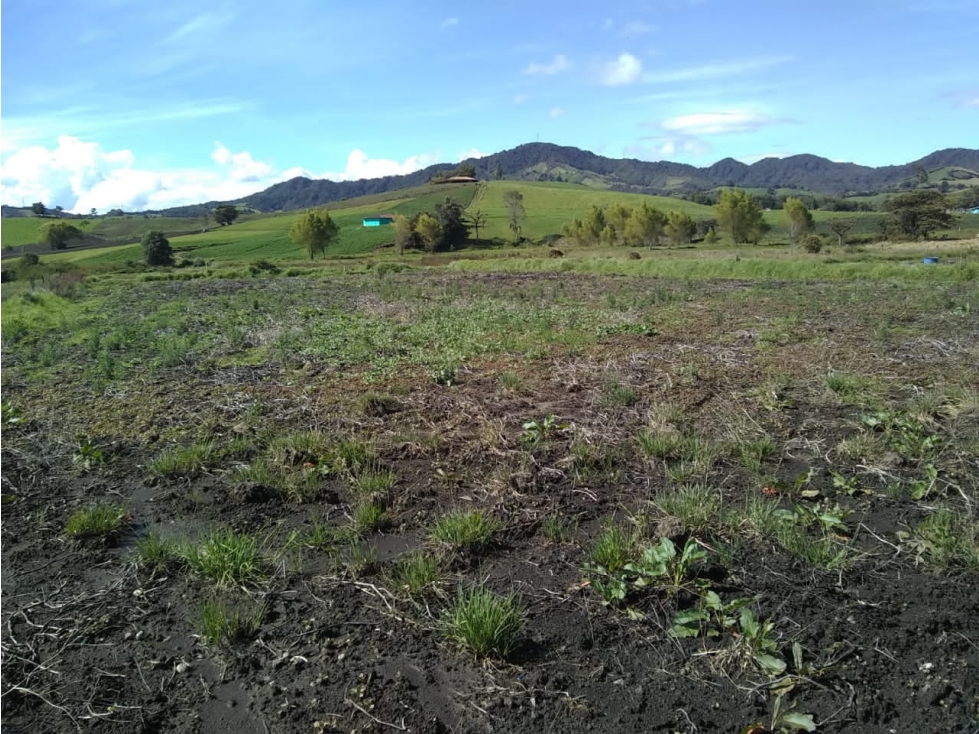 LINDO LOTE EN VENTA 100% PLANO EN LA VEREDA LA MADERA DEL CARMEN VIB.