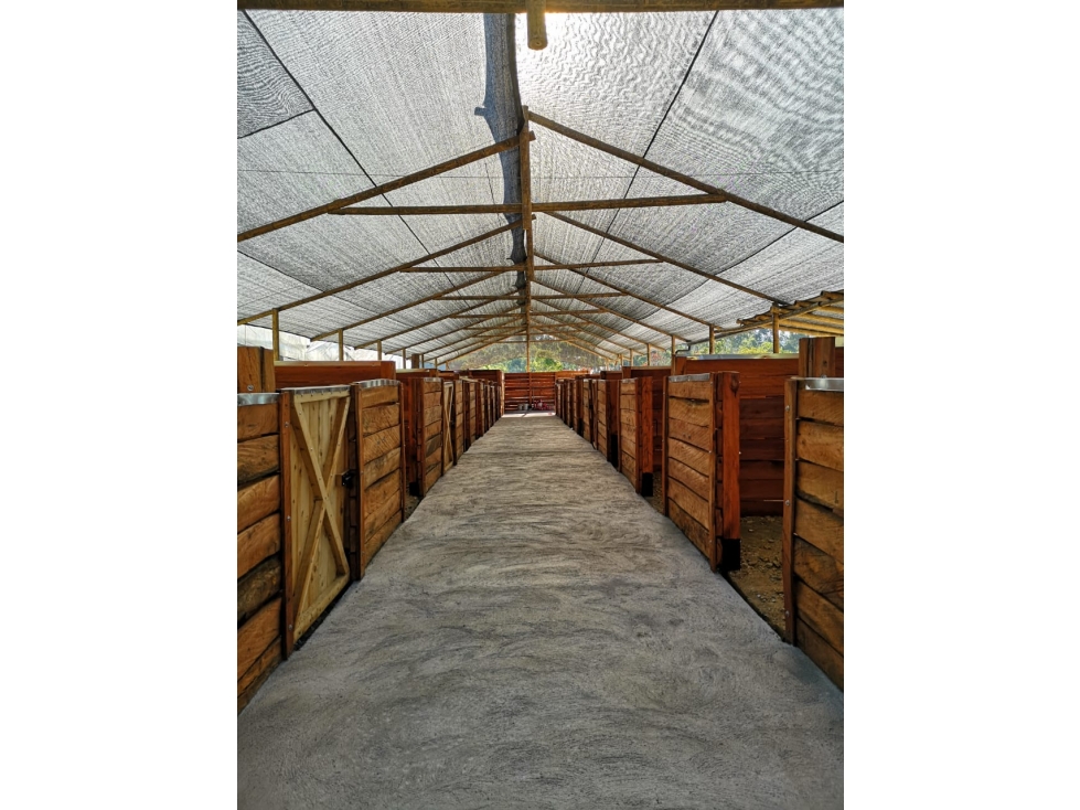 HERMOSA FINCA CON 20 PESEBRERA EN VENTA EN EL CARMEN DE VIBORAL