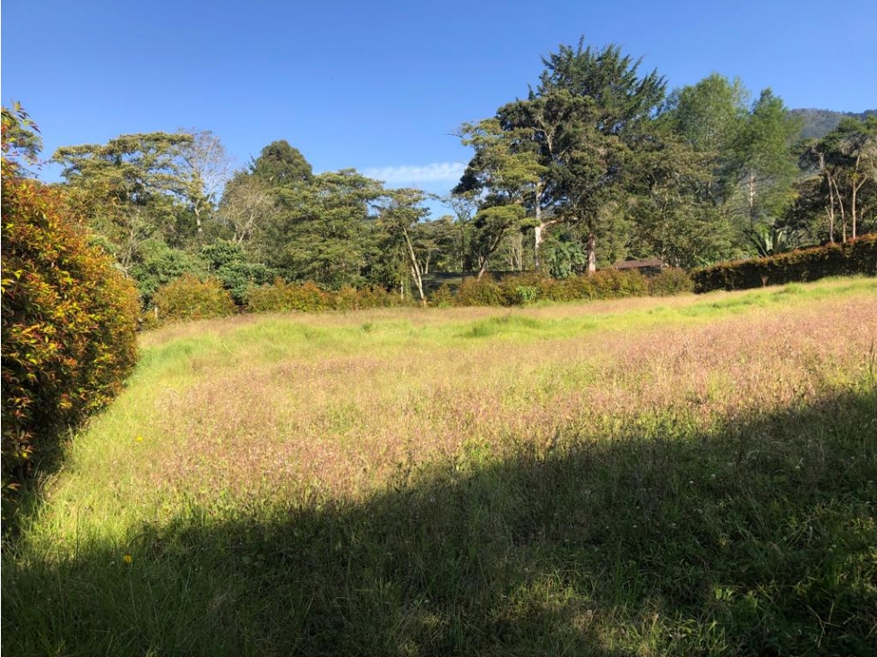 HERMOSO LOTE EN VENTA SECTOR CANADA EL CARMEN DE VIBORAL. Oportunidad. — foto 4