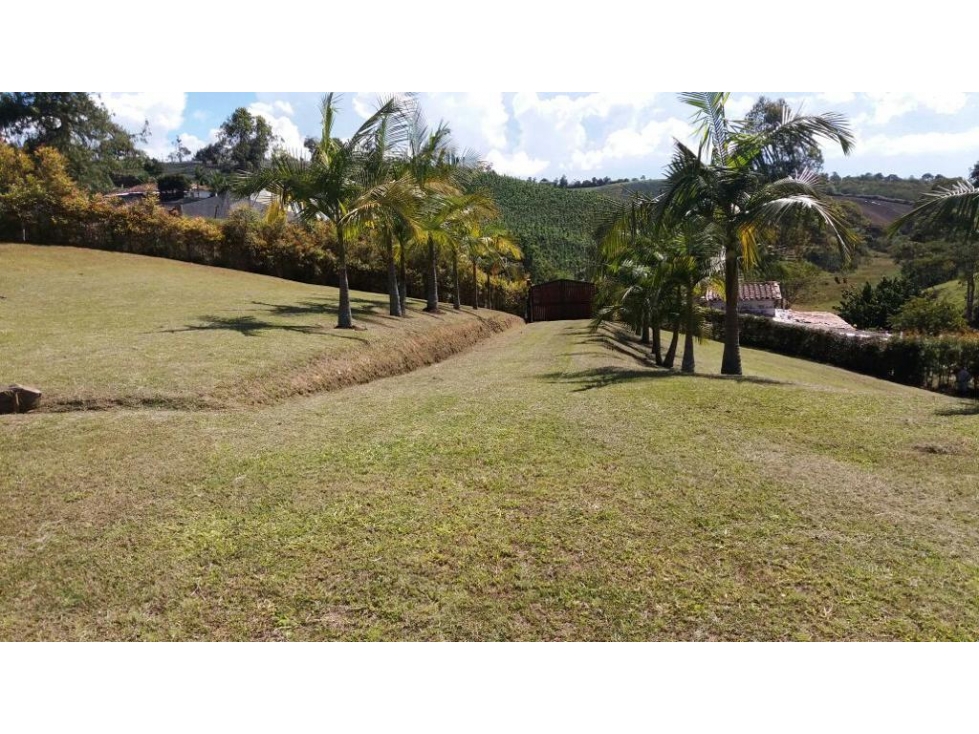 ENCANTADOR LOTE EN VENTA EL CÁRMEN DE VIBORAL — foto 4