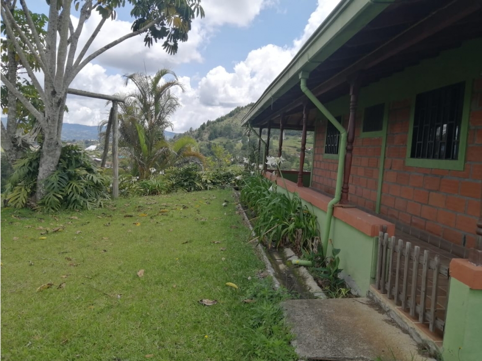 HERMOSA FINCA EN VENTA GUARNE — foto 3