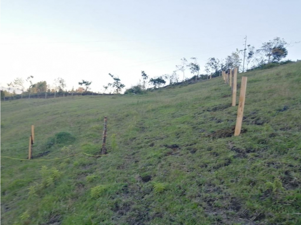 LINDOS LOTES EN VENTA GUARNE — foto 4