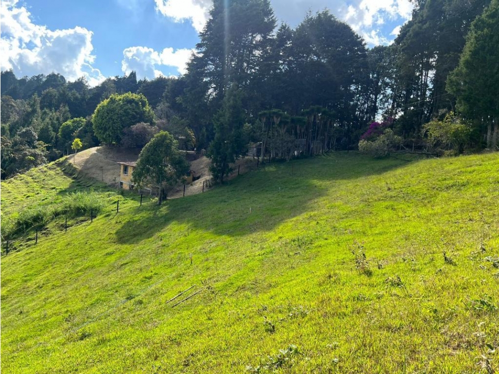 ENCANTADOR LOTE EN VENTA GUARNE — foto 4