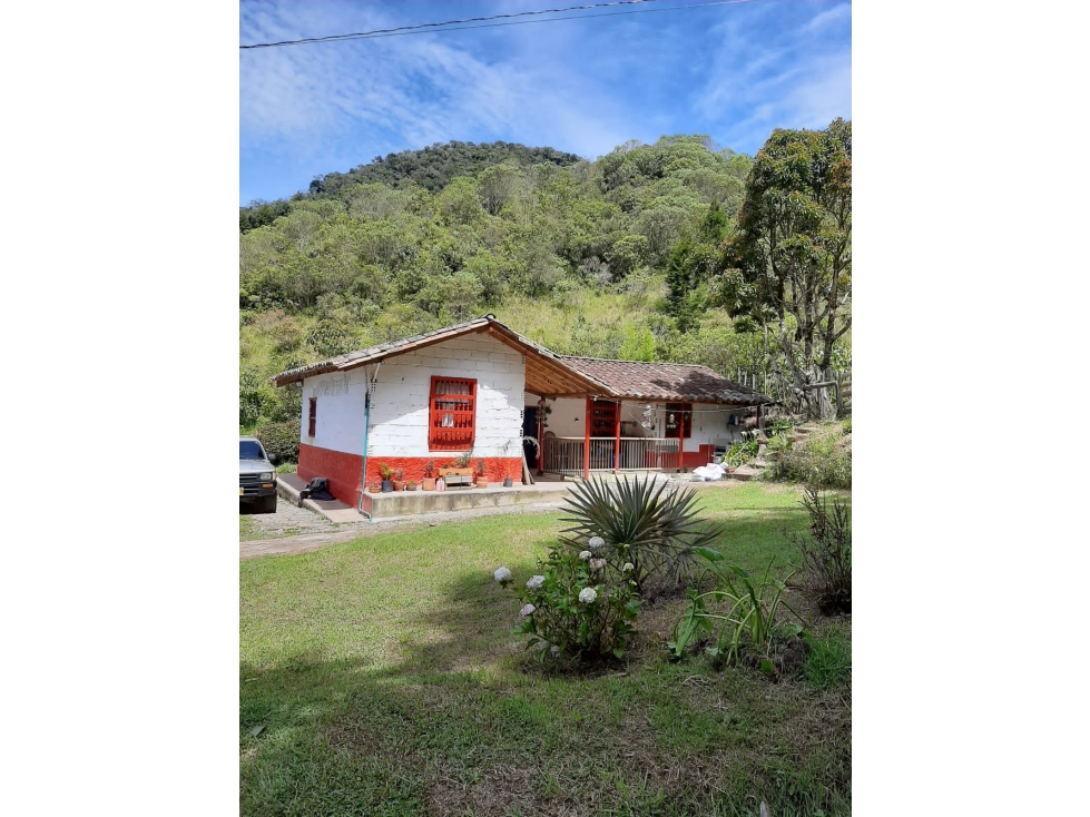 LINDA CASA FINCA TRADICIONAL EN VENTA CARMEN DE VIBORAL