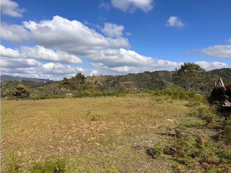 ENCANTADOR LOTE EN CON LINDA VISTA EN VENTA GUARNE - 4