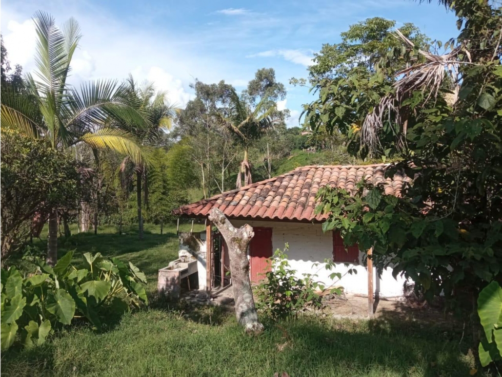 LINDA FINCA EN VENTA CON CASA CAMPESINA EL CARMEN DE VIBORAL — foto 3