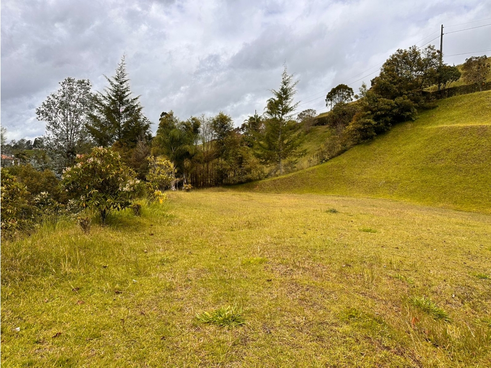 ENCANTADOR LOTE EN VENTA CERCA A SAN ANTONIO DE PEREIRA — foto 4