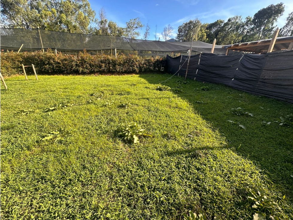 ENCANTADOR LOTE EN VENTA EL CARMEN SEMI URBANO — foto 4