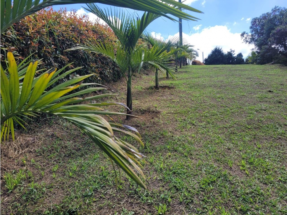 ENCANTADOR LOTE EN VENTA GUARNE — foto 4