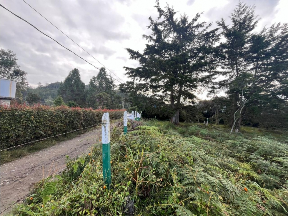 LINDOS LOTES EN VENTA GUARNE EN PROINDIVISO — foto 3